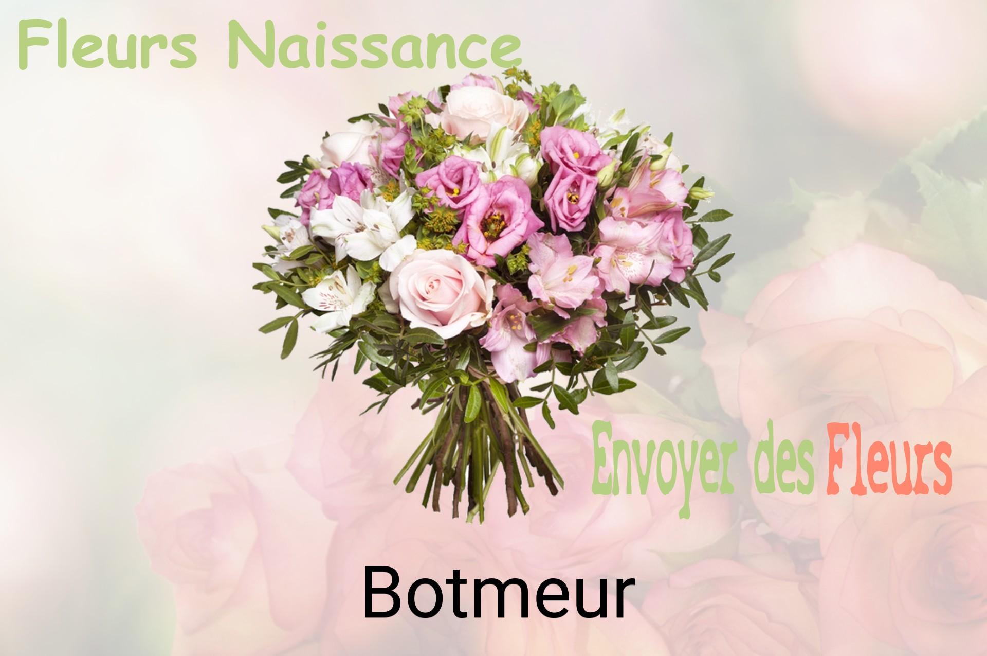 Bouquet de fleurs de naissance livré à Botmeur